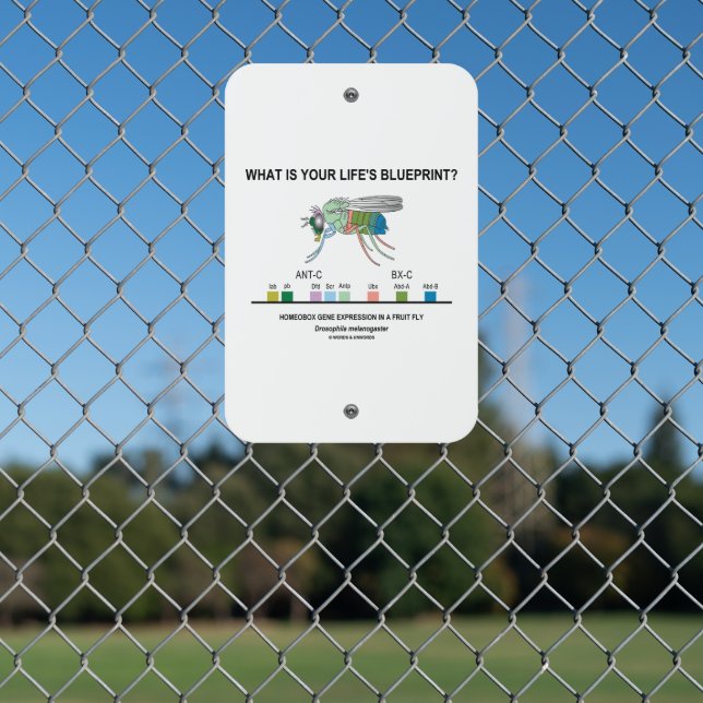 What Is Your Life's Blueprint? Drosophila Biology Metal Sign (In Situ(Fence))