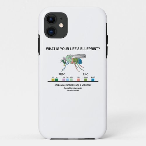 What Is Your Lifes Blueprint Gene Expression iPhone 11 Case