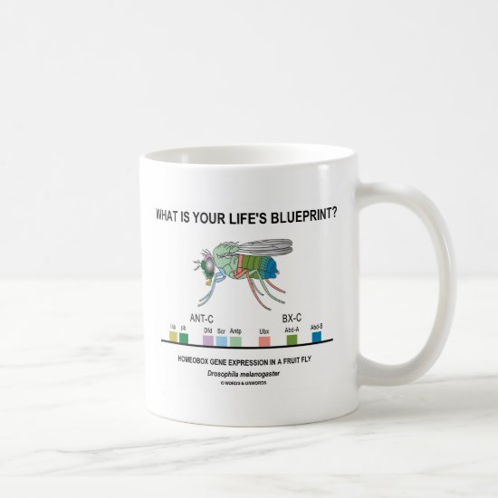 What Is Your Life's Blueprint? (Gene Expression) Coffee Mug