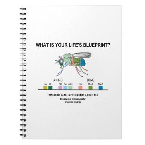 What Is Your Lifes Blueprint Gene Expression Notebook