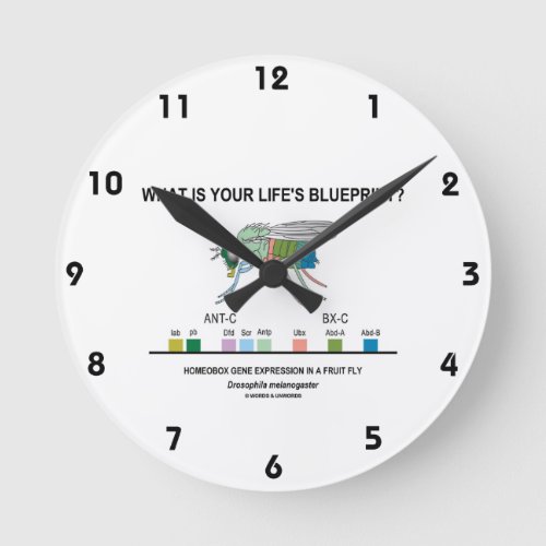 What Is Your Lifes Blueprint Gene Expression Round Clock