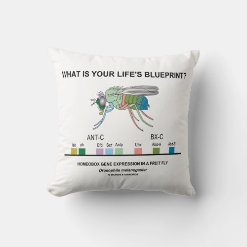 What Is Your Lifes Blueprint Homeobox Genes Throw Pillow