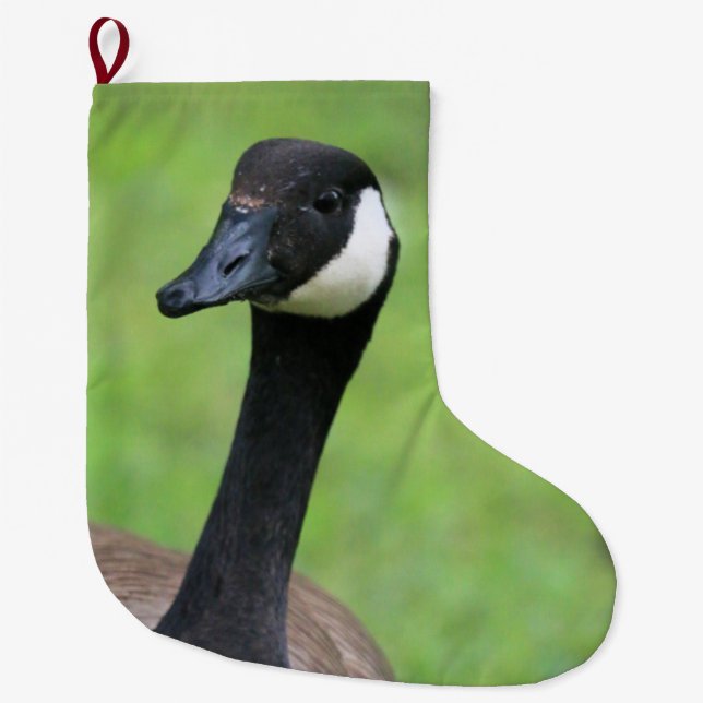 What? Large Christmas Stocking (Front)