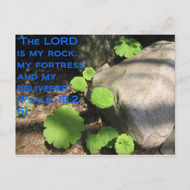 What Lies Beneath the Rocks Postcard (Front)