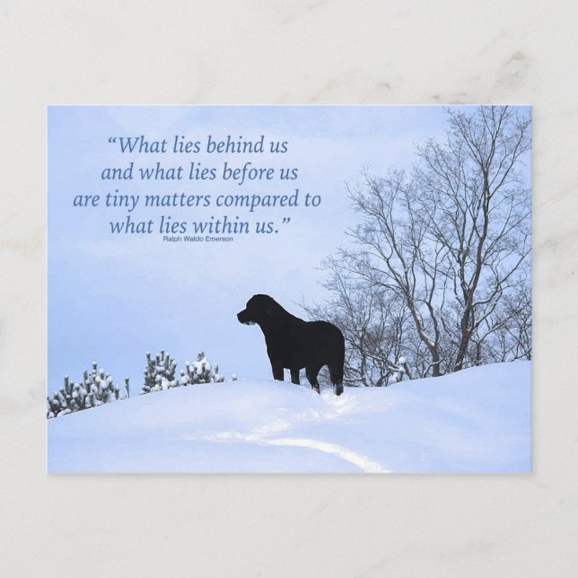 What Lies Within Us- Motivational Quote- Black Lab Postcard (Front)