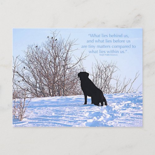 What Lies Within Us_ Motivational Quote_ Black Lab Postcard