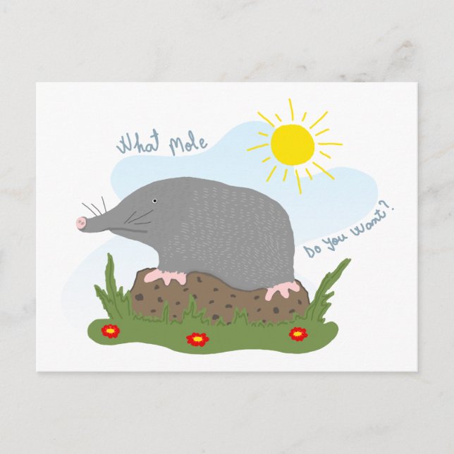 What mole do you want? postcard (Front)