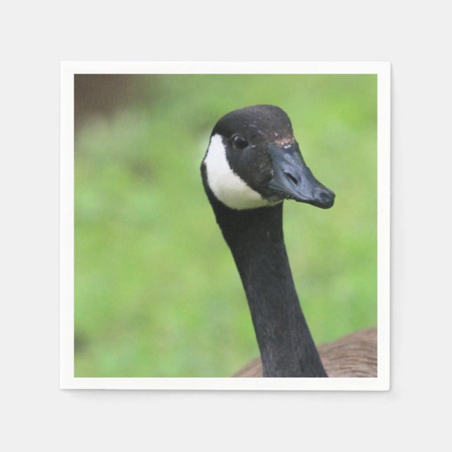 What? Napkins (Front)