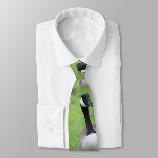 What? Neck Tie (Tied)