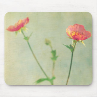 What Next Mousepad