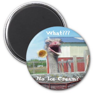 What No Ice Cream - Ostrich Farm magnet