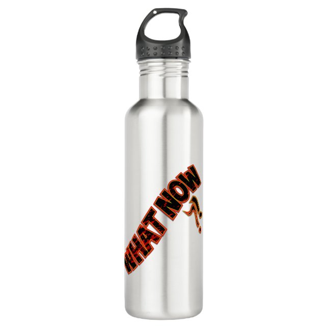 What Now ?! Stainless Steel Water Bottle (Front)