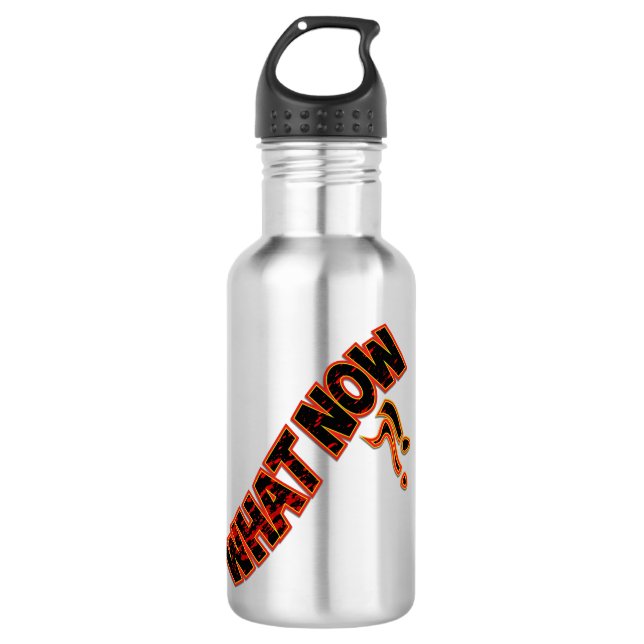 What Now ?! Stainless Steel Water Bottle (Front)