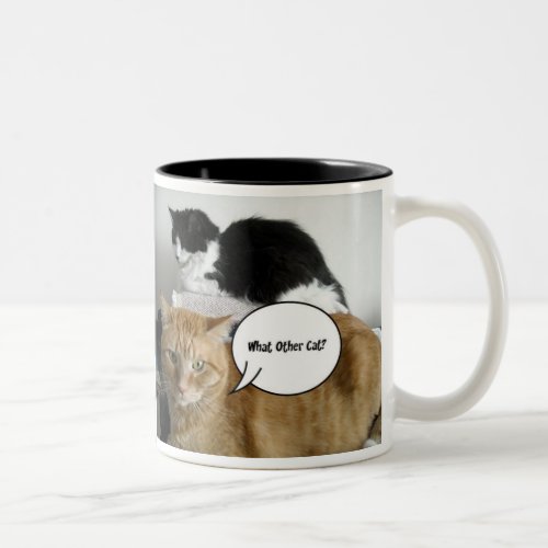 What Other CatOrange Tabby Humor Two_Tone Coffee Mug