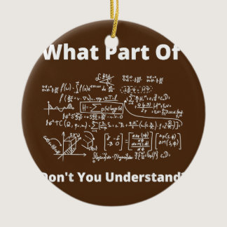 What Part Of Don't You Understand Funny Math Ceramic Ornament