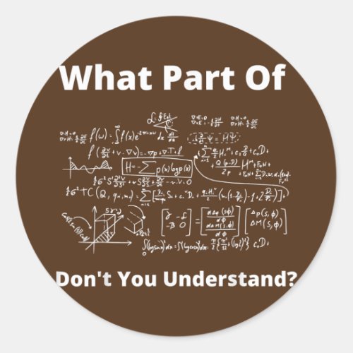 What Part Of Dont You Understand Funny Math Classic Round Sticker
