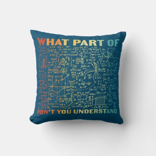 What Part Of Dont You Understand Funny Math Throw Pillow