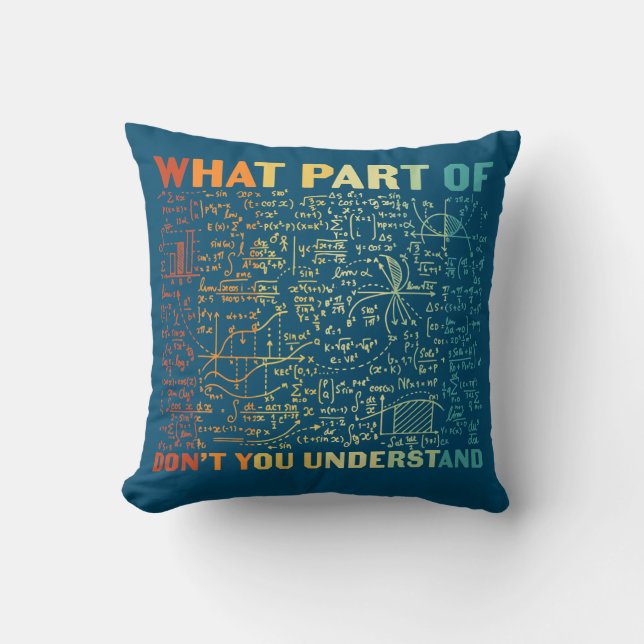What Part Of Don't You Understand Funny Math Throw Pillow (Front)