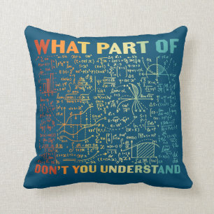 What Part Of Don't You Understand Funny Math Throw Pillow