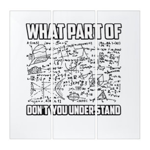 What Part Of Don't You Understand? Funny Math  Triptych
