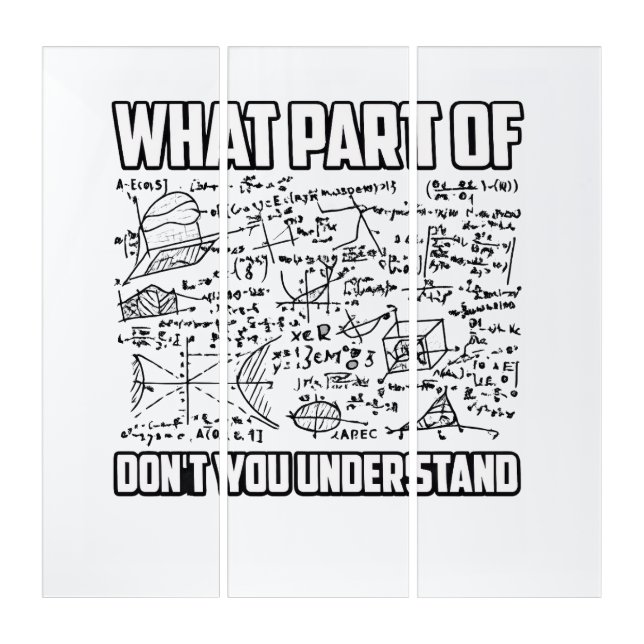 What Part Of Don't You Understand? Funny Math  Triptych (Front)