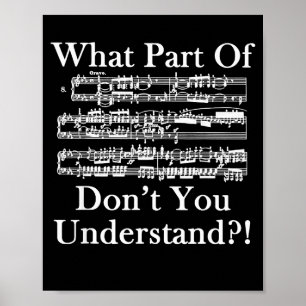 What Part Of Music Don't You Understand Funny Musi Poster