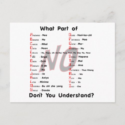 What Part of NO Dont You Understand Postcard