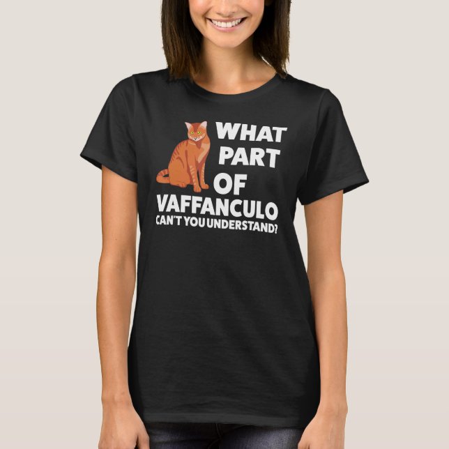 what part of vaffanculo Italian Italy vaffanculo T-Shirt (Front)
