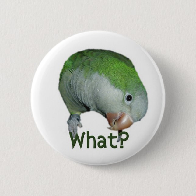 What? Pinback Button (Front)
