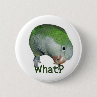 What? Pinback Button
