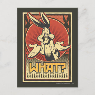What? Postcard