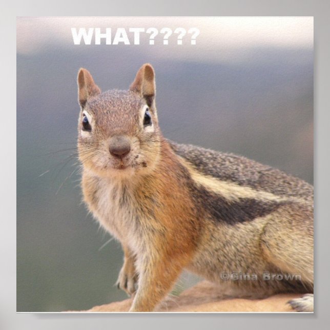 What???? Poster (Front)