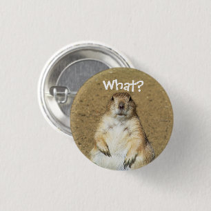 "What?" Prairie Dog Button