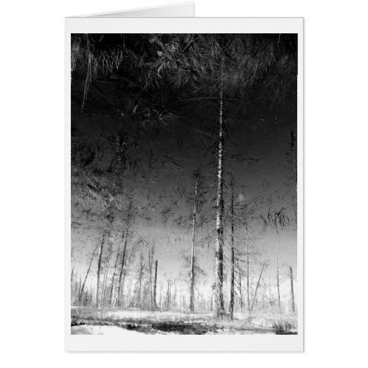 What Remains (Front)