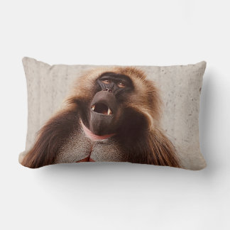 What’s going on lumbar pillow