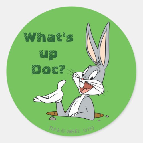 WHATS UP DOC BUGS BUNNY Rabbit Hole Classic Round Sticker