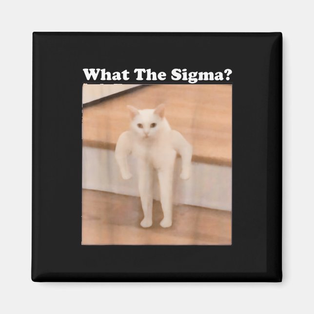 What Sigma Meme Cat Meme Internet Memes Funny Meme Magnet (Front)