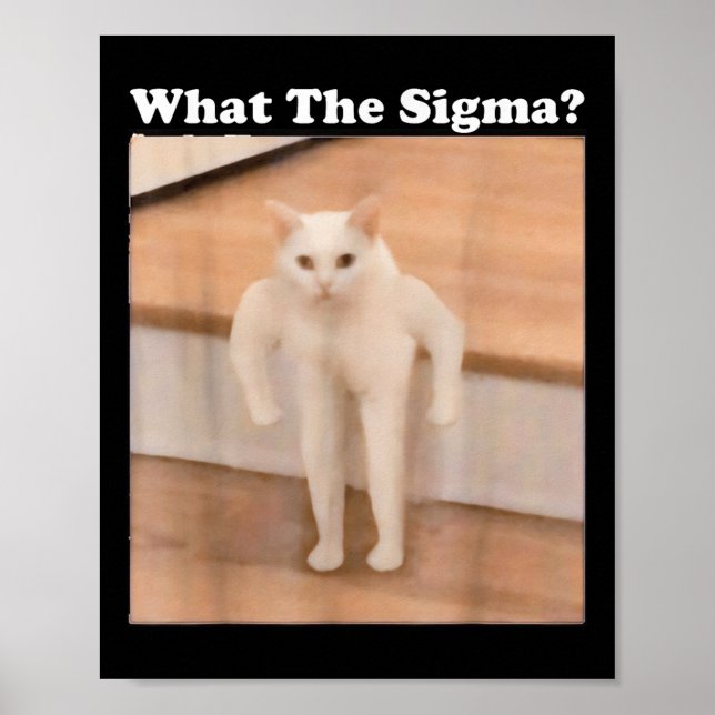 What Sigma Meme Cat Meme Internet Memes Funny Meme Poster (Front)