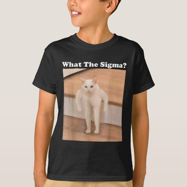 What Sigma Meme Cat Meme Internet Memes Funny Meme T-Shirt (Front)