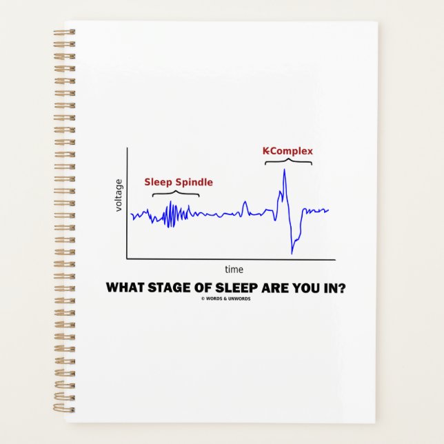 What Stage Of Sleep Are You In? Planner (Front)