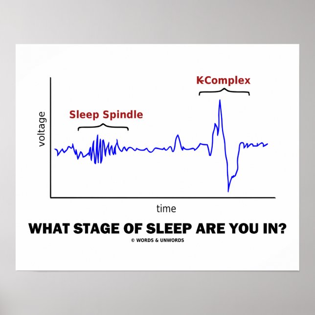 What Stage Of Sleep Are You In? Poster (Front)