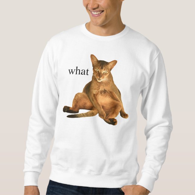what sweatshirt (Front)