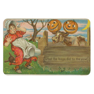 What the Boys did to the Cow Halloween Vintage Magnet