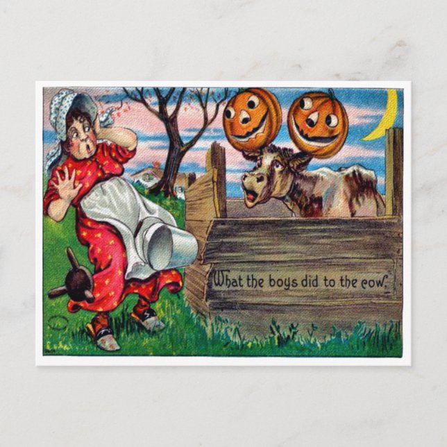 What The Boys Did To The Cows Postcard (Front)