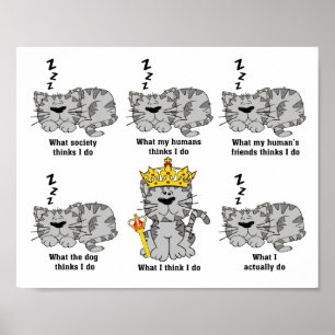 What The Cat Thinks Funny Poster