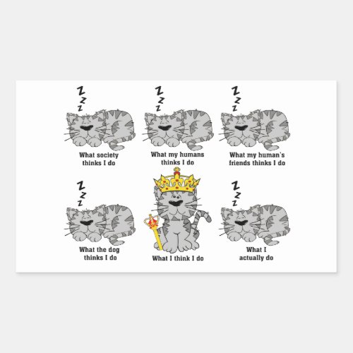 What The Cat Thinks Funny Rectangular Sticker