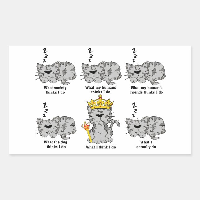 What The Cat Thinks Funny Rectangular Sticker (Front)