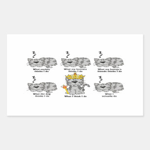 What The Cat Thinks Funny Rectangular Sticker