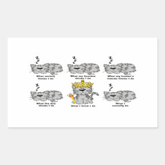 What The Cat Thinks Funny Rectangular Sticker