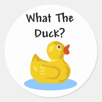 What The Duck? Classic Round Sticker by stargiftshop at Zazzle